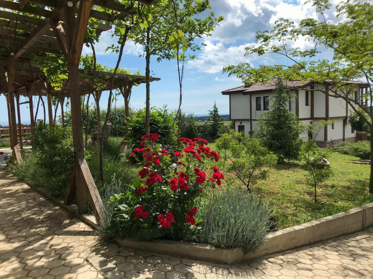Vis B&B
