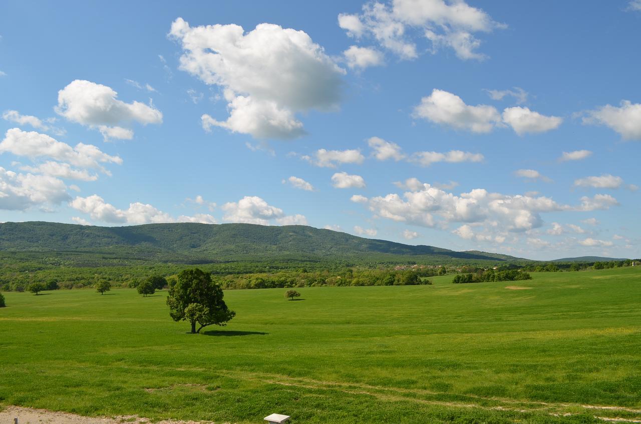 Vis Velika